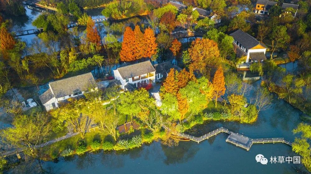 濕地保護中的生態奇跡 西溪國家濕地公園締造四方共贏典范
