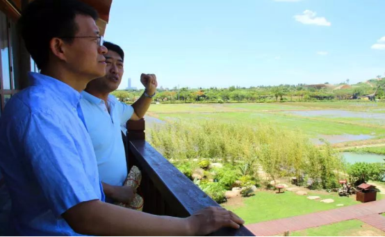 加強(qiáng)濕地生態(tài)治理 助推農(nóng)業(yè)與旅游深度融合——張?jiān)迫A副部長一行調(diào)研水稻國家公園生態(tài)恢復(fù)工作